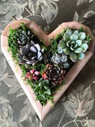 Take down to water once every 7 to 10 days and let the planter sit for an hour or so. Heart Shape Succulent Vertical Garden Planter Living Wall Etsy