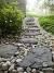 Landscaping Ideas For Wet Backyard
