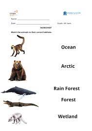 habitats online pdf activity for grade 4