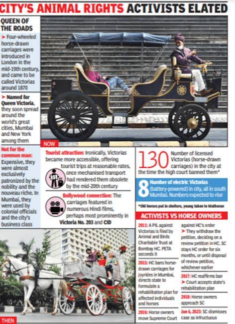 Cruelty-free' e-Victorias to stay in Mumbai after SC stands by Bombay HC | Mumbai News - The Times of India