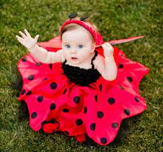 We did not find results for: Disfraces Para Bebes 42 Ideas Para Tu Nina