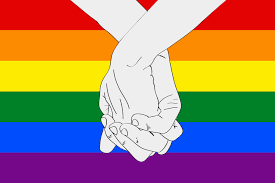 Indicaciones serán votadas en las próximas sesiones. El Matrimonio Igualitario En Mexico Ficcion O Realidad Gay Queretaro