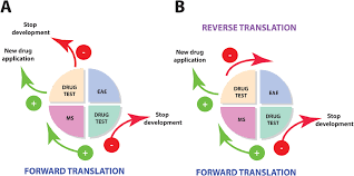 Easy online binary ascii converter web tool. Multiple Sclerosis And Drug Discovery A Work Of Translation Ebiomedicine