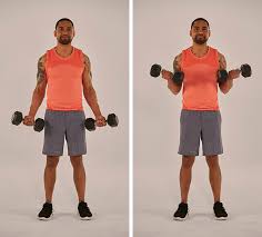 how to do the dumbbell biceps curl