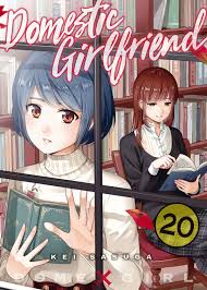 Domestic Girlfriend 20 Manga eBook by Kei Sasuga - EPUB Book | Rakuten Kobo  United States