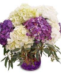 Posh Purple Simple But Impressive This Arrangement Features Purple And White Hydrangea Blossoms Designe Get Well Flowers Luxury Flowers California Flowers