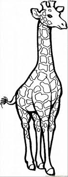 Hence they really enjoy filling in the giraffe coloring pages with nice colors. 24 Best Giraffe Coloring Pages Ideas Giraffe Coloring Pages Coloring Pages Giraffe