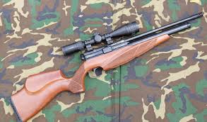 The best bb gun for beginners may be the ones made of abs plastic because they're durable but cannot. Top 10 Hunting And Pest Control Air Rifles Air Rifle Reviews Gun Mart