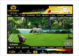 Resultado de imagen de imagenes de loro parque