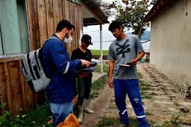Entre em contato com a ribeira dedetização e saiba mais sobre este procedimento e tenha um ambiente livre de pulgas em barueri. Egk7dwfza08uim