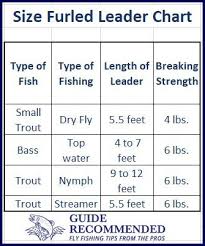 What Is A Furled Leader For Fly Fishing Guide Recommended