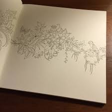 Reviewed in the united states on july 16, 2016. Magical Jungle By Johanna Basford An Inky Expedition Coloring Book Dolce Bellezza