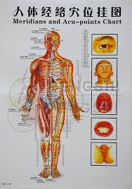 Details About Chinese Medicine Body Acupuncture Points Meridians And Acupoints Chart