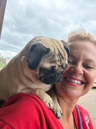 A very tough day for me personally and all the Happy Hounds team as our  beautiful Lillie is off to enjoy her well earned retirement. At the ripe  old age of 13 ,