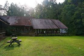 Autora purple cane tea restaurant. å±±ä¸­èŒ¶åŽŸtea Restaurant Janda Baik Eat Drink Play Travel Facebook