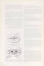 Image result for Justicia stachytarphetoides