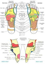 Reflexology Chart Head To Feet Reflexology Foot Chart