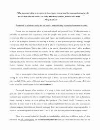 Leadership Experience Essay Example Lovely Teamwork Essay Essay Examples College Essay Examples Essay About Life