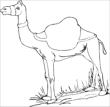 All camel coloring sheets and pictures are absolutely free and can be linked directly our camel coloring pages in this category are 100% free to print, and we'll never charge you for using, downloading, sending, or sharing them. Arabian Camel Coloring Page Coloringbay