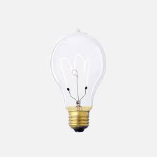 Edison Triple Loop Bulb Edison Light Bulbs Bulb Light Bulbs