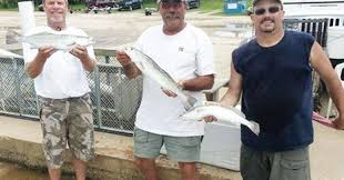 If fishing is your thing than gulf shores and orange beach is a great place for you! Gulf Shores Fishing Reports Forecast Archives Coastal Angler The Angler Magazine
