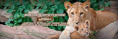 Pages in category buin zoo. Parque Zoologico Buin Zoo Linkedin