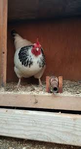 Peace was never an option by papaphilia, released 03 september 2019 1. Peace Was Never An Option Weird Pictures Best Funny Pictures Memes