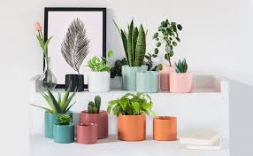 Choose from a selection of round planters made from metal, plastic, fiberglass, metal and faux stone. Sqowl Modern Ceramic Planters Round Flower Plant Pots Snake Succulent Herb Cactus Planters Small To Medium Sized With Drain Hole Indoor Outdoor Set Of 3 Pink Patio Lawn Garden Gardening Urbytus Com