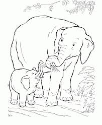Elephant coloring book for adults relax and unwind with this advanced coloring book for adults containing realistic elephant coloring pages for you to enjoy. Get This African Elephant Coloring Pages Free Printable 78042
