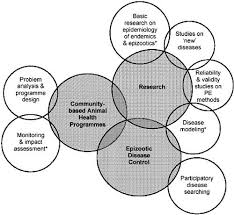 Some Of The Basics Of Epidemiology Research Program Design Basic Disease Control