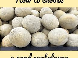 A hollow sound means the melon is ripe. How To Pick The Perfect Sweet Cantaloupe 6 Tips Delishably