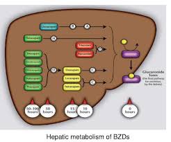 Image result for Halazepam