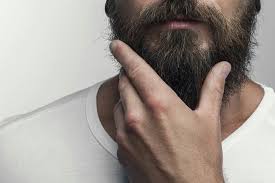 Some of the best sources of protein include meat, eggs, lentils, nuts, and beans. Everything You Need To Grow A Full Beard Grow Beard Growing A Full Beard Hair Loss Regrowth Treatment
