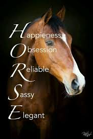 Les Mots De Notre Ame La Definition De Notre Compagnon Qu On Aime Tant Humour Cheval Passion Cheval Photographie Equestre