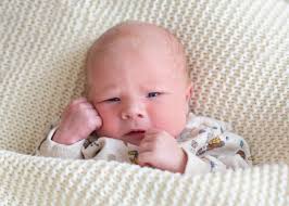 Die Babys aus dem Nordosten stellen sich vor