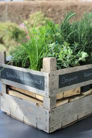 Krauterkiste Zum Selbermachen Gartenpflanzen Garten Bluhende Pflanzen