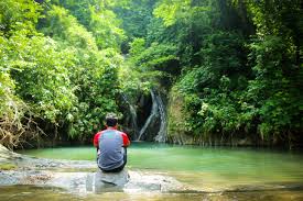 Check out this fantastic collection of bangladesh nature wallpapers, with 46 bangladesh nature background images for your desktop, phone or tablet. Wallpaper Bangladesh Nature Jungle Waterfall Tracking 5184x3456 Shafkat 1484097 Hd Wallpapers Wallhere