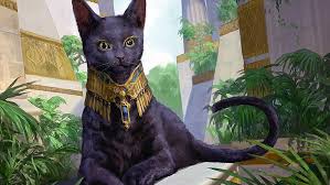Get free goldfish live wallpaper now! Black Cat Digital Hd Wallpapers Free Download Wallpaperbetter