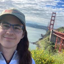 Lexus RX 2017 or older with 3G Enform cutoff?