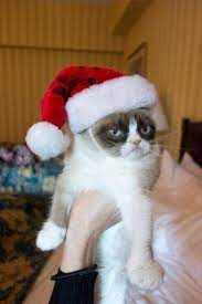 Grumpy Cat Christmas Meme Generator Imgflip