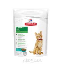Hamile Ve Emziren Kediler Icin En Iyi 5 Yavru Ve Yetiskin Kedi Mamasi