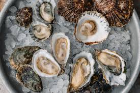 Check spelling or type a new query. Hog Island Oyster Co Stops Harvesting Following Health Scare Eater Sf