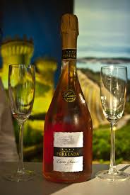 Cava Castillo Perelada Brut Rosado Cuvee Especial Variedad Trepat 100 Cava Vinos Tipos De Vinos
