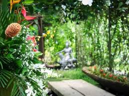Small front yard landscaping ideas low maintenance philippines. Philippine Garden Design Growing Philippine Plants In Your Garden