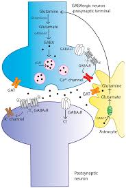 Image result for alzheimer 1981 2021