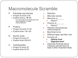 Macromolecule Scramble Intro