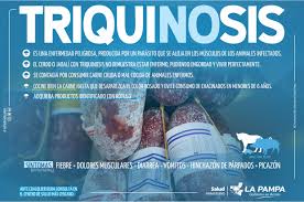 Maybe you would like to learn more about one of these? Ante Un Caso De Triquinosis Se Reiteran Las Medidas Preventivas