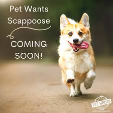 Taking care of you and your pet. Pet Wants Scappoose Pwscappoose Twitter