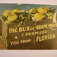 Buy and sell on the leading online auction platform. Vintage Florida Postcards Collectors Weekly