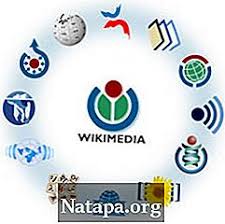 A free, collaborative, and multilingual internet encyclopedia. Perbedaan Antara Wikipedia Dan Wikimedia Perbedaan Antara 2021